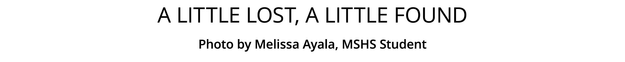 A little lost, A little Found Photo by Melissa Ayala, MSHS Student