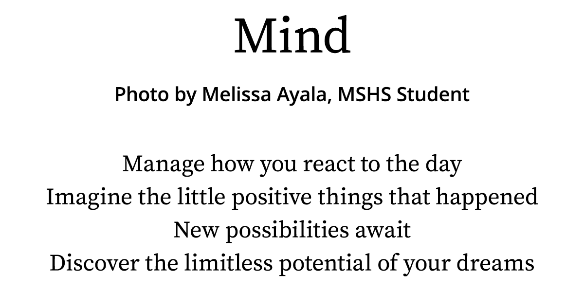 Mind Photo by Melissa Ayala, MSHS Student Manage how you react to the day Imagine the little positive things that hap   