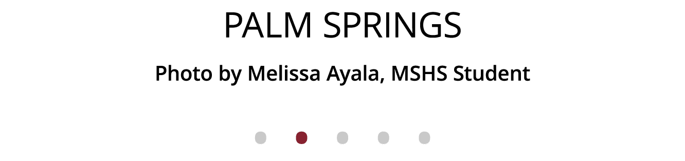 Palm Springs Photo by Melissa Ayala, MSHS Student              