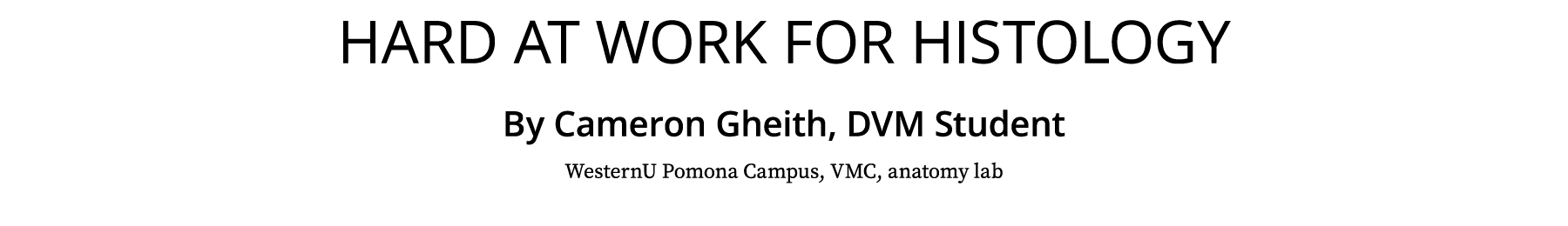 Hard at work for histology By Cameron Gheith, DVM Student WesternU Pomona Campus, VMC, anatomy lab