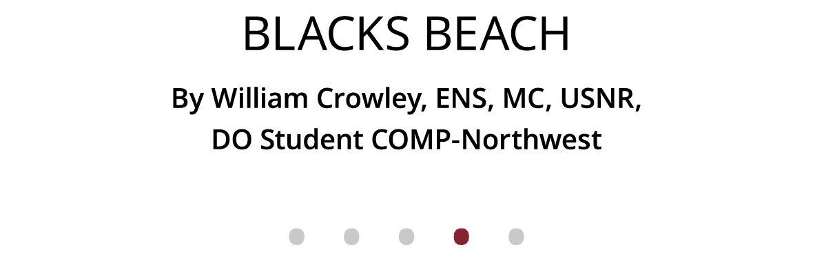 Blacks Beach By William Crowley, ENS, MC, USNR, DO Student COMP-Northwest              