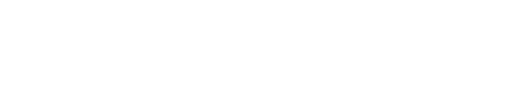 First Flight By Karen Genco, PA-C, Instructor PA Education, CHS The hardest part is done, you re still you, but new     