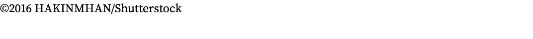  2016 HAKINMHAN Shutterstock