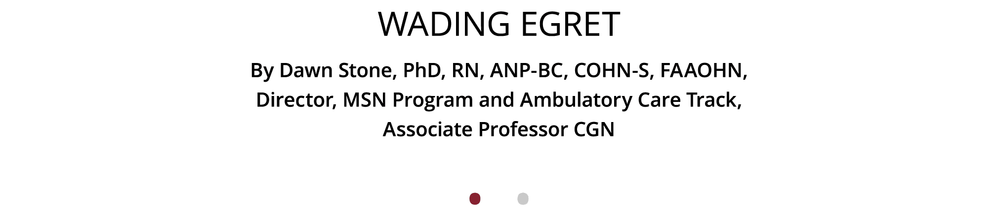 Wading Egret By Dawn Stone, PhD, RN, ANP-BC, COHN-S, FAAOHN, Director, MSN Program and Ambulatory Care Track, Associa   