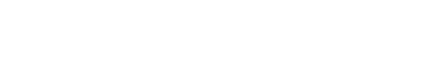 The Year of Introspection Cover photo by Hannah My-Hanh Nguyen, DO Student 2020 New Year s Morning in Orlando, Florida
