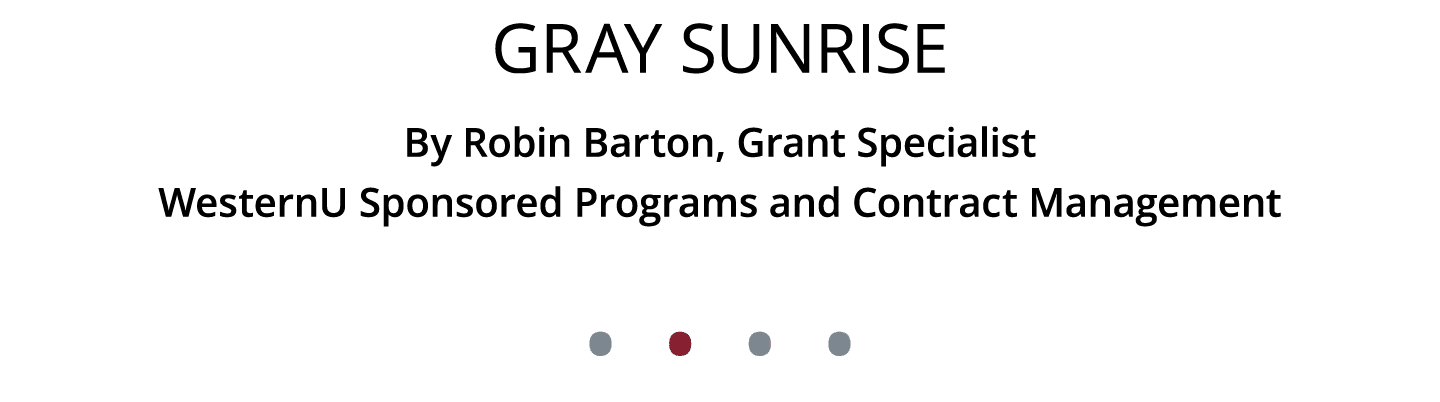 Gray Sunrise By Robin Barton, Grant Specialist WesternU Sponsored Programs and Contract Management • • • •