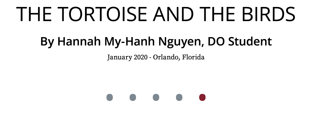 The Tortoise and the Birds By Hannah My Hanh Nguyen, DO Student January 2020 Orlando, Florida • • • • •