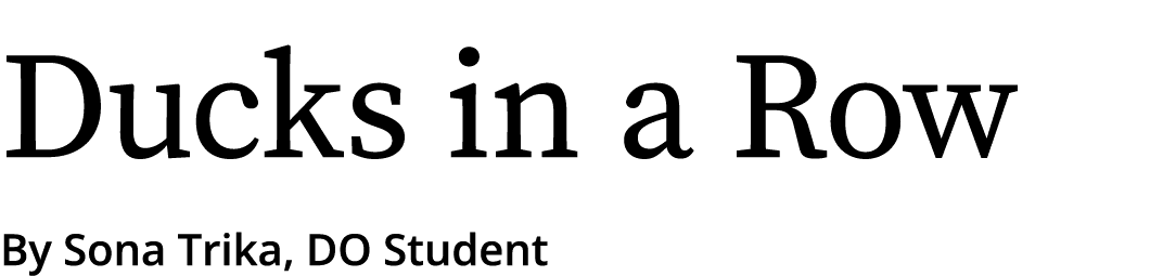 Ducks in a Row By Sona Trika, DO Student