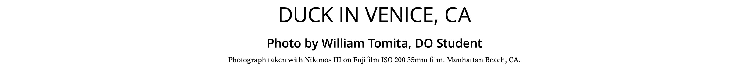 Duck in Venice, CA Photo by William Tomita, DO Student Photograph taken with Nikonos III on Fujifilm ISO 200 35mm fil...