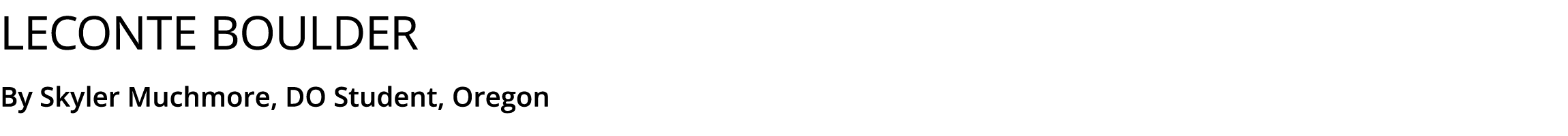 LeConte Boulder By Skyler Muchmore, DO Student, Oregon